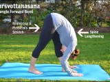 Yoga for Runner’s – Triangle Forward&nbsp;Bend