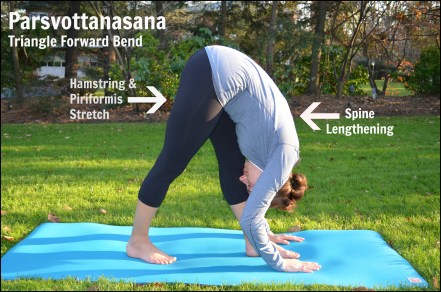 Triangle Forward Bend
