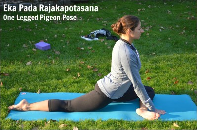 Pigeon Pose 1