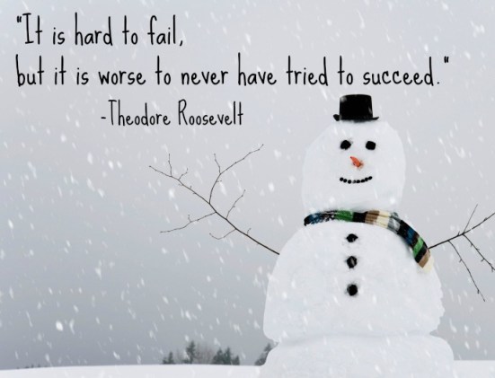 Theodore Roosevelt Quote