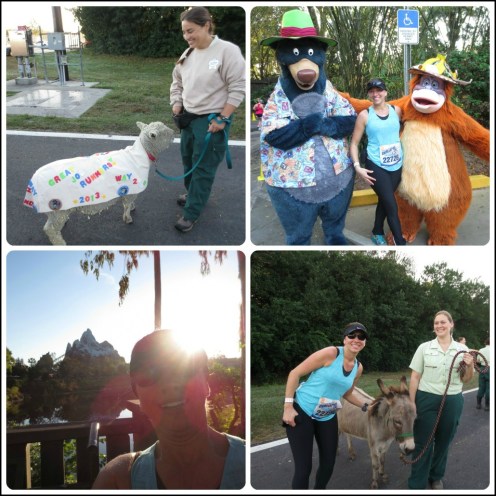 Animal Kingdom Collage