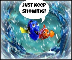 Winter Storm Nemo