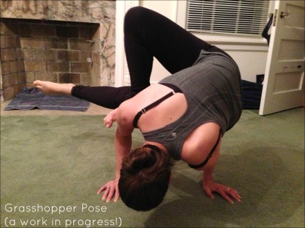 Grasshopper Pose Danielle