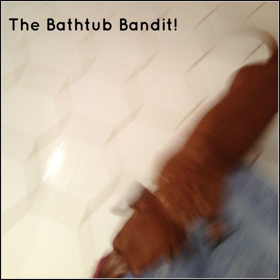 The Bathtub Bandit