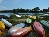 Cape Cod SUP&nbsp;Adventures!