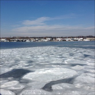 Harbor Ice