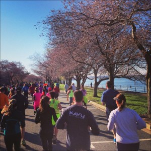 Cherry Blossom 10 Mile Run