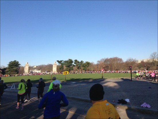 Cherry Blossom - Arlington