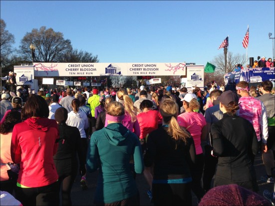 Cherry Blossom Start