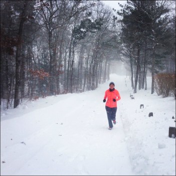 Blizzard - Run Danielle