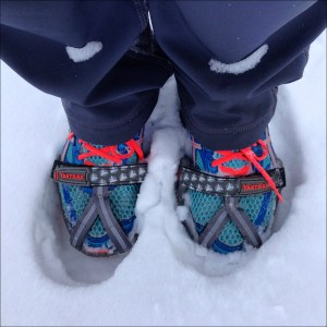 Blizzard Neptune Run