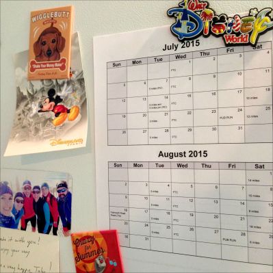 MCM Training Plan Pic