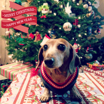 Madison Christmas 2015